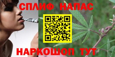 хмурый Моздок