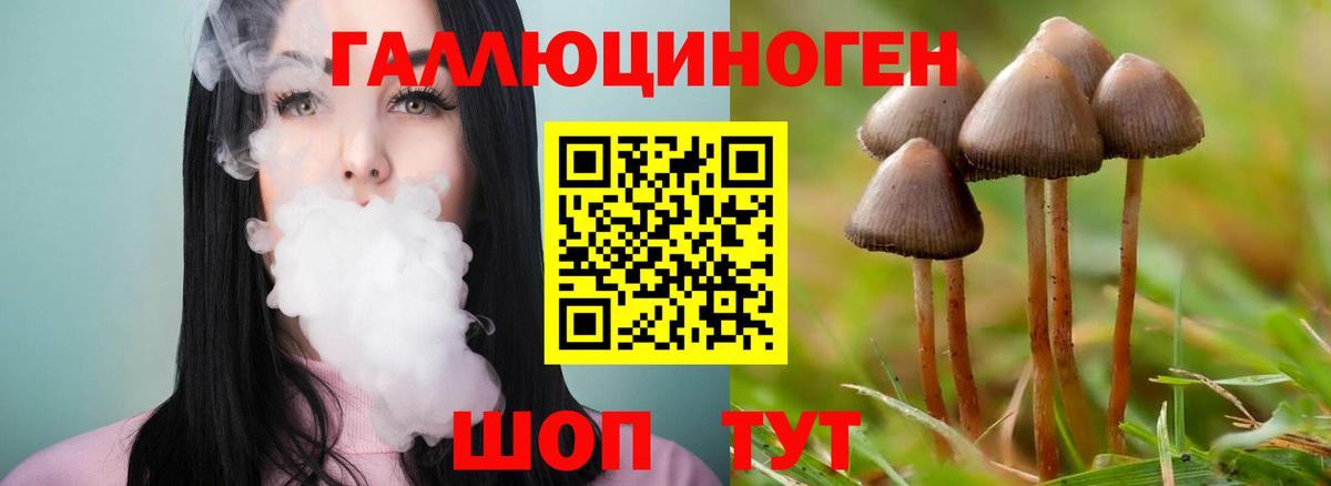Псилоцибиновые грибы ЛСД  Вход с VPN  Тверь 