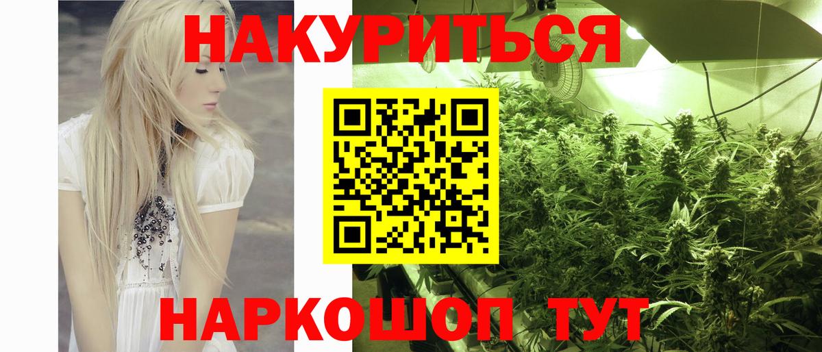 Бошки Шишки планчик Тверь